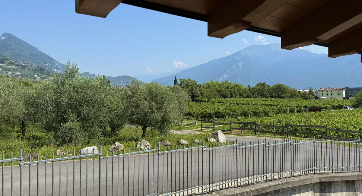 Camera doppia senza balcone | Una soluzione versatile e accogliente, ideale per coppie o per chi preferisce il comfort di letti separati.